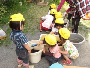 ５月１０日うさぎ２