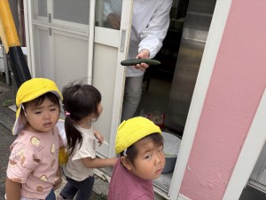e38186e38195e3818e66-5