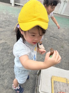 e38186e38195e3818e87-5
