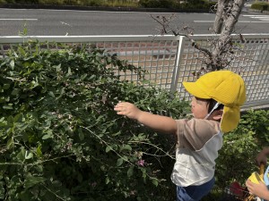 e38186e38195e3818e1028-4