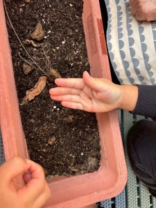 e38186e38195e3818e1029-3