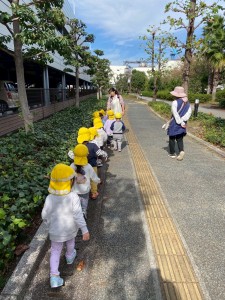 e38186e38195e3818e1029-6