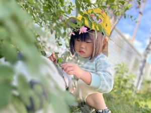 e38182e381b2e3828b1030-4