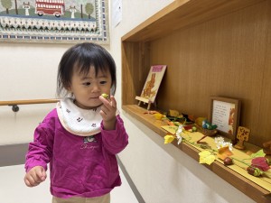 e38182e381b2e3828b1111-2