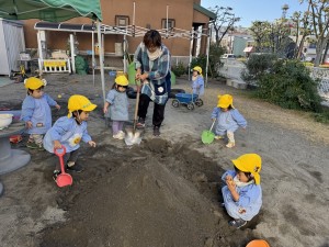 e38182e381b2e3828b1120-1