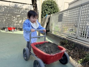 e38182e381b2e3828b1120-5