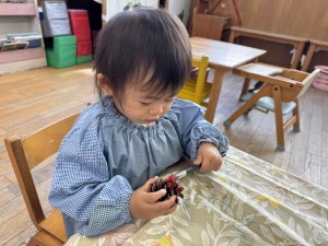 e38182e381b2e3828b1121-4