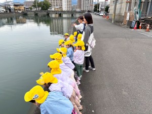 e38186e38195e3818e1113-1