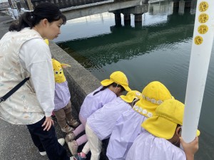 e38186e38195e3818e1113-2