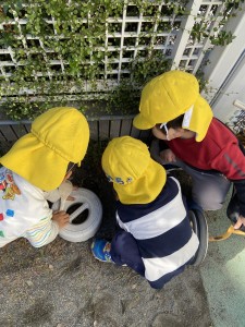 e38186e38195e3818e1114-6