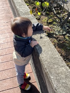 e381b2e38288e38193efbc91efbc90efbc8cefbc93efbc90-3