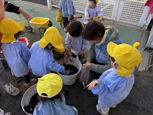 e38182e381b2e3828b1215-1