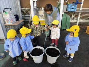 e38182e381b2e3828b1215-2