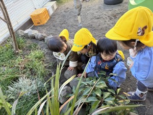 e38182e381b2e3828b1217-1