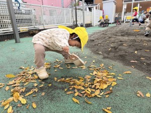 e38182e381b2e3828b1222-5