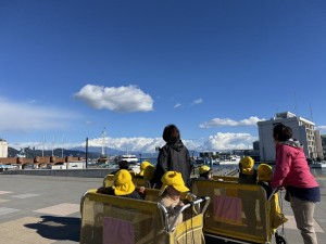 e38182e381b2e3828b1226-1