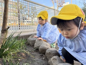 e38182e381b2e3828befbc91efbc92efbc8cefbc92-6