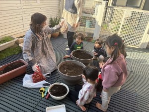 e38186e38195e3818e1211-1