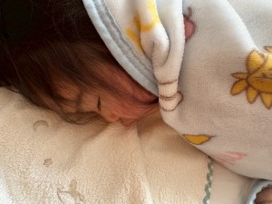 e38186e38195e3818e125-13