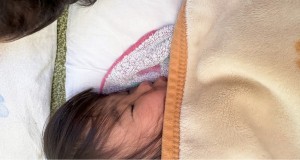 e38186e38195e3818e125-15