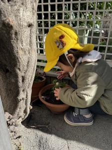 e38182e381b2e3828befbc91efbc8cefbc91efbc94-2