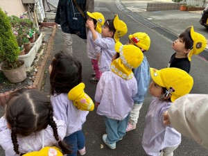 e38186e38195e3818e120-5