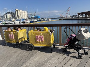 e381b2e38288e38193efbc91efbc8cefbc91efbc93-1