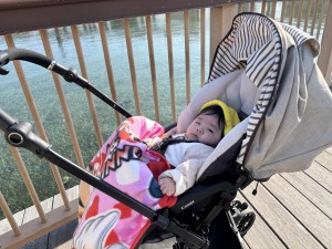 e381b2e38288e38193efbc91efbc8cefbc91efbc93-2