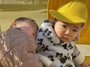 e381b2e38288e38193efbc91efbc8cefbc91efbc93-3