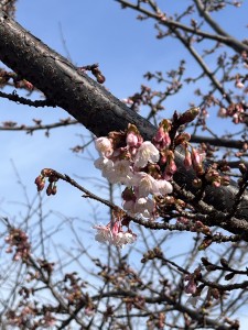 e381b2e38288e38193efbc91efbc8cefbc91efbc95-3