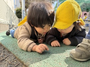 e38182e381b2e3828befbc92efbc8cefbc91efbc93-3