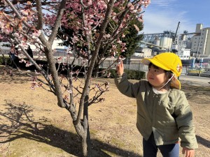 e38182e381b2e3828befbc92efbc8eefbc97-2